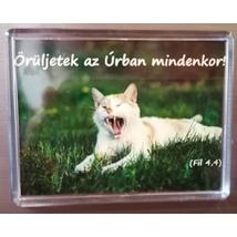 Téglalapalakú hűtőmágnes nevetéshez hasonló arckifejezést vágó tarka cicával és bibliai igével: Örüljetek az Úrban mindenkor! (Fil 4,4)