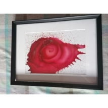 Fekete téglalap alakú keretben, fehér passzpartuval nonfiguratív festmény: vöröses, nyíló rózsa alakú folt.