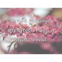 Téglalapalakú hűtőmágnes, rajta virágzó cseresznyeág közelről és egy idézet fehérrel: A nők mosolya elfelejteti, hogy a tavasz rövid.