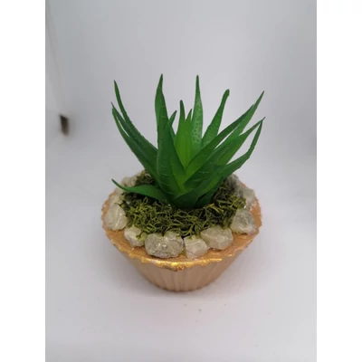 Muffinforma alakú arany színű alappal, rajta kavicsok, középen egy Aloevera  műnövény.