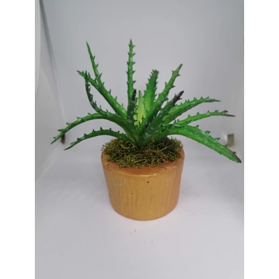 Aranyszínű hengeralakú kaspóban mohák, és szerte ágazó Aloevera műnövénnyel. 