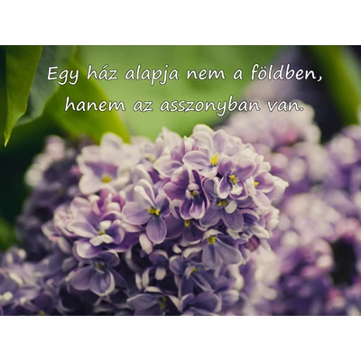 Téglalapalakú hűtőmágnes, rajta orgona közelről és egy idézet fehérrel: Egy ház alapja nem a földben, hanem az asszonyban van.